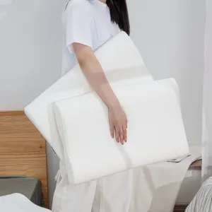 Best Ergonomic Pillow for Neck Pain