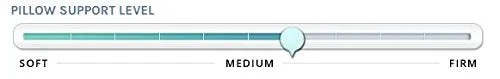Envirosleep Dream Surrender Standard Pillow Set. (2 Pillows)