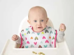 Kushies Baby Waterproof Cleanbib 12m 
