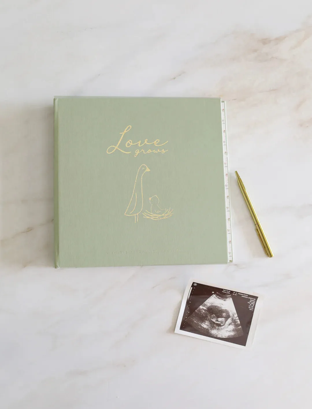 Pregnancy Memory Book