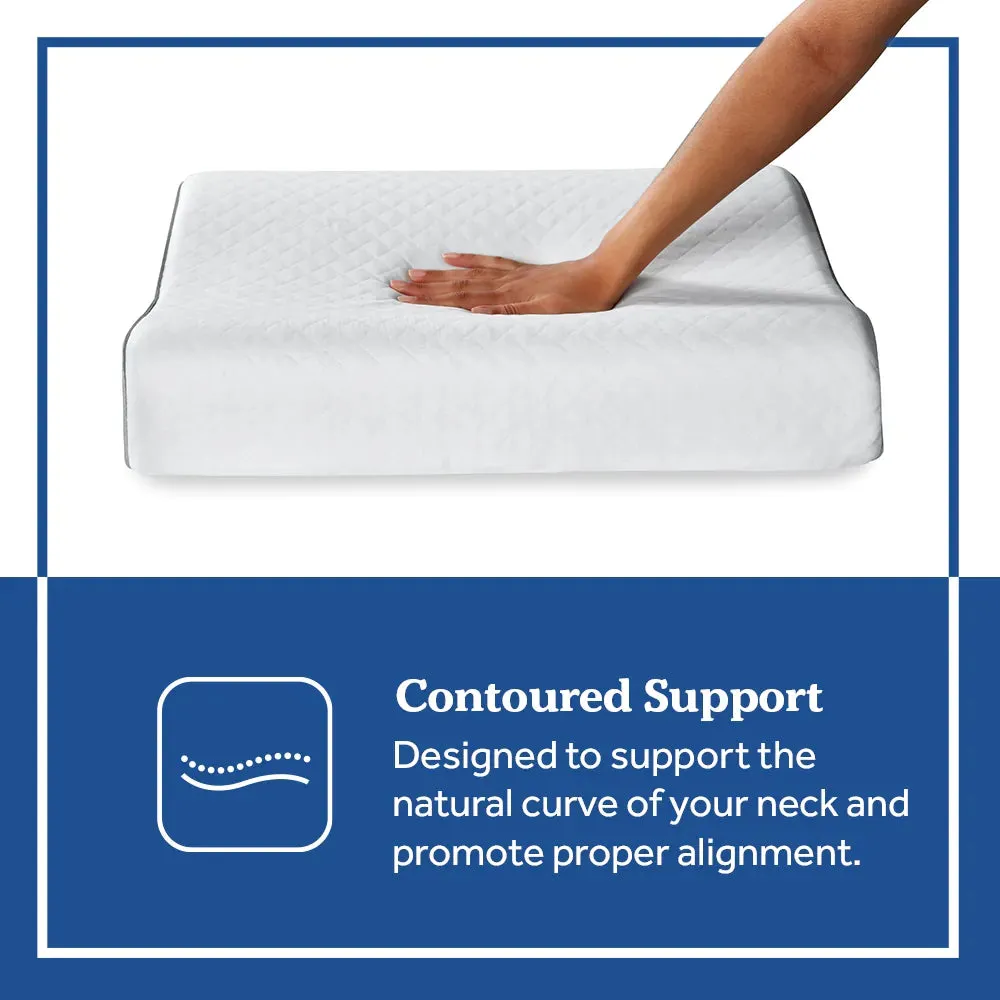Sealy Essentials Contour Curve Memory Foam Pillow