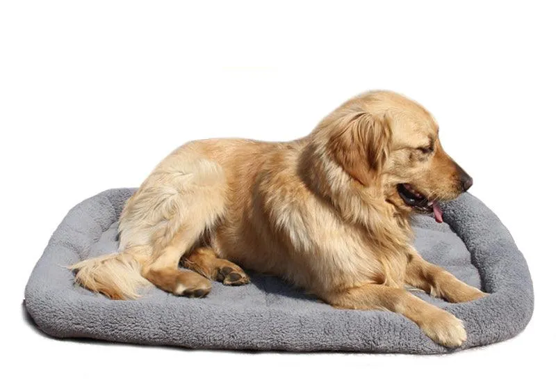Soft Cotton Gray Color Dog's Mat